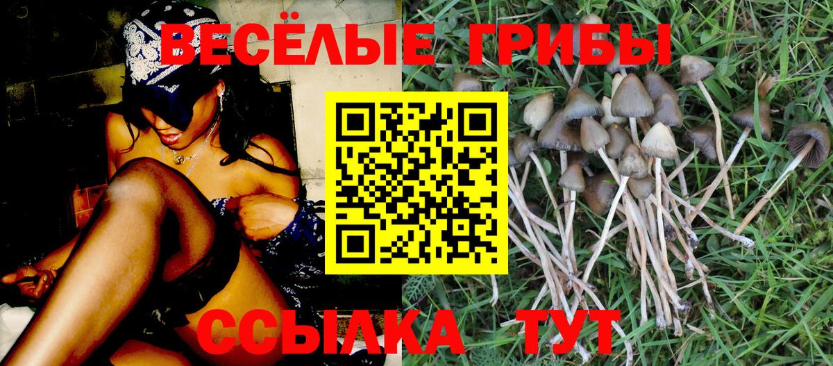 Галлюциногенные грибы Psilocybine cubensis  Вход с VPN  закладка  Тара 