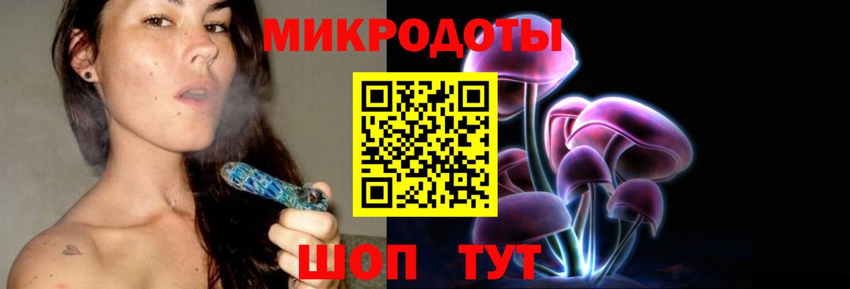 Галлюциногенные грибы Psilocybine cubensis Тара